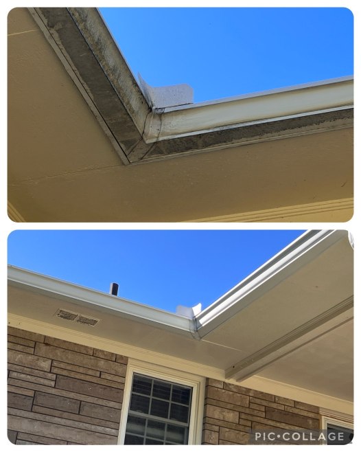 Gutter Cleaning